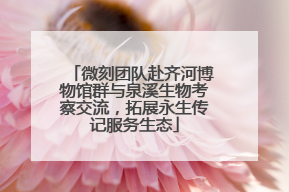 微刻团队赴齐河博物馆群与泉溪生物考察交流，拓展永生传记服务生态