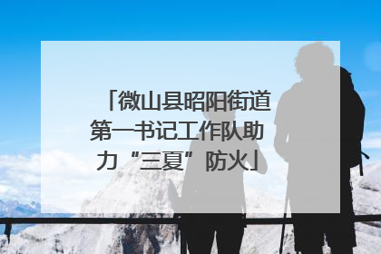 微山县昭阳街道第一书记工作队助力“三夏”防火