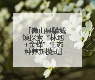 微山县驩城镇探索“林地+金蝉”生态种养新模式