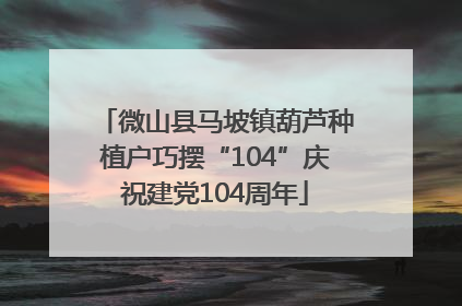微山县马坡镇葫芦种植户巧摆“104”庆祝建党104周年