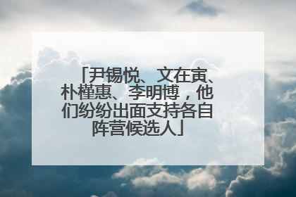 尹锡悦、文在寅、朴槿惠、李明博，他们纷纷出面支持各自阵营候选人