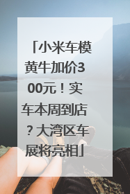 小米车模黄牛加价300元！实车本周到店？大湾区车展将亮相
