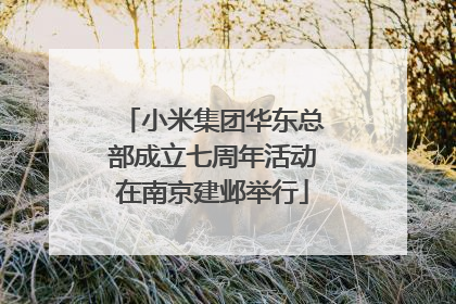 小米集团华东总部成立七周年活动在南京建邺举行