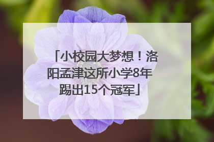 小校园大梦想！洛阳孟津这所小学8年踢出15个冠军