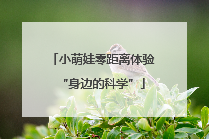 小萌娃零距离体验“身边的科学”