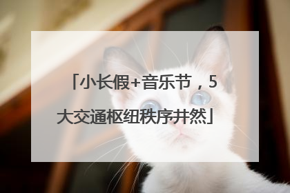 小长假+音乐节，5大交通枢纽秩序井然