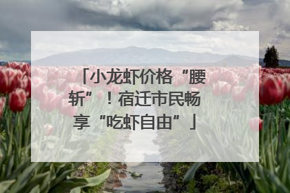 小龙虾价格“腰斩”！宿迁市民畅享“吃虾自由”
