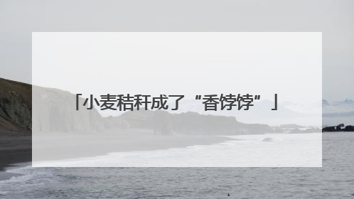 小麦秸秆成了“香饽饽”