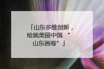 山东多维创新，绘就美丽中国 “山东画卷”