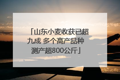 山东小麦收获已超九成 多个高产品种测产超800公斤