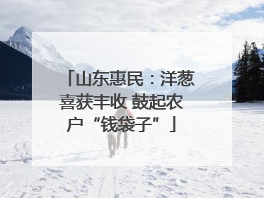 山东惠民：洋葱喜获丰收 鼓起农户“钱袋子”