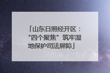 山东日照经开区：“四个聚焦”筑牢湿地保护司法屏障