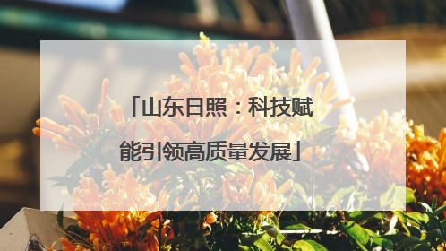 山东日照：科技赋能引领高质量发展