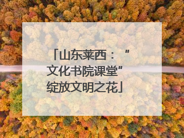 山东莱西：“文化书院课堂”绽放文明之花