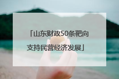 山东财政50条靶向支持民营经济发展