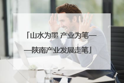 山水为墨 产业为笔——陕南产业发展走笔