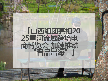 山西组团亮相2025黄河流域跨境电商博览会 加速推动“晋品出海”