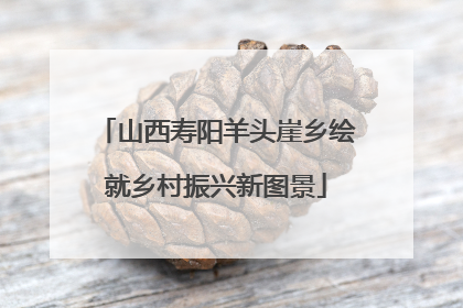 山西寿阳羊头崖乡绘就乡村振兴新图景