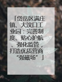 岱岳区满庄镇、大汶口工业园：完善制度、贴心护航、强化监管，打造优质营商“强磁场”