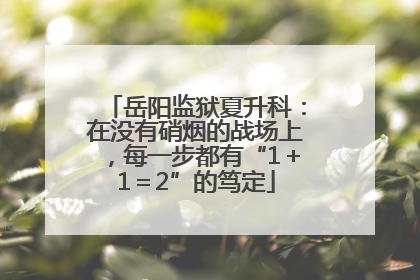 岳阳监狱夏升科：在没有硝烟的战场上，每一步都有“1＋1＝2”的笃定
