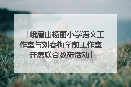峨眉山杨丽小学语文工作室与刘春梅学前工作室开展联合教研活动