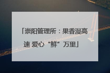 崇阳管理所：果香漫高速 爱心“鲜”万里