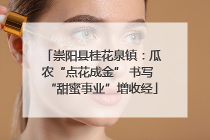崇阳县桂花泉镇：瓜农“点花成金” 书写“甜蜜事业”增收经