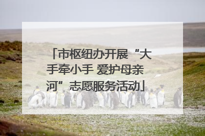 市枢纽办开展“大手牵小手 爱护母亲河”志愿服务活动