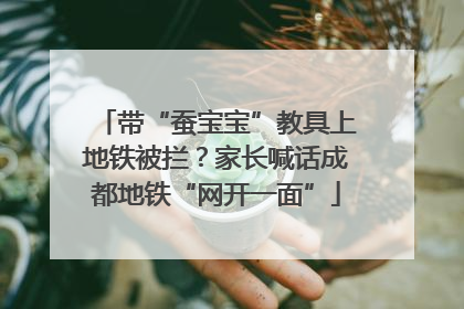 带“蚕宝宝”教具上地铁被拦？家长喊话成都地铁“网开一面”