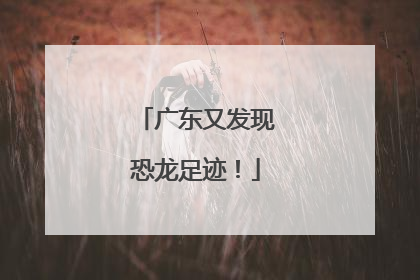 广东又发现恐龙足迹！