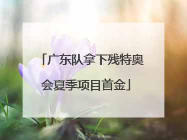 广东队拿下残特奥会夏季项目首金