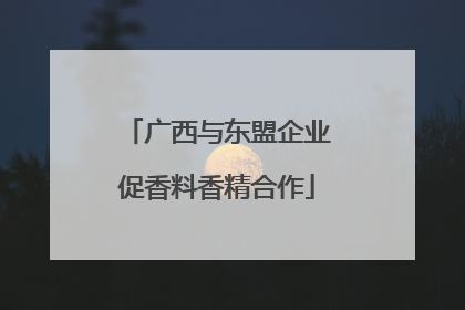 广西与东盟企业促香料香精合作
