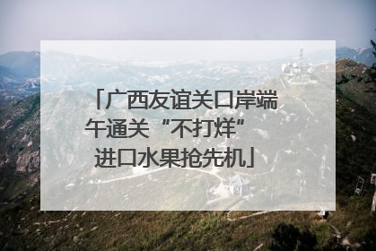 广西友谊关口岸端午通关“不打烊” 进口水果抢先机
