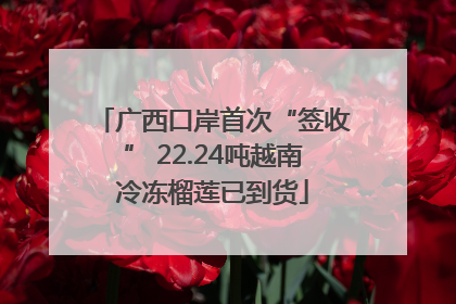 广西口岸首次“签收” 22.24吨越南冷冻榴莲已到货