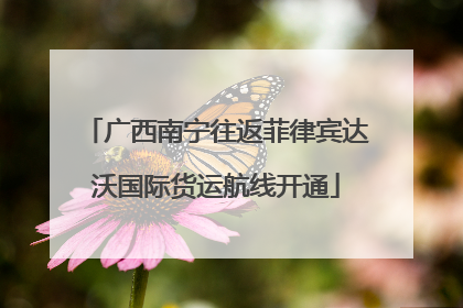 广西南宁往返菲律宾达沃国际货运航线开通