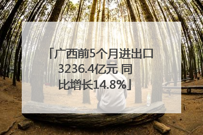 广西前5个月进出口3236.4亿元 同比增长14.8%