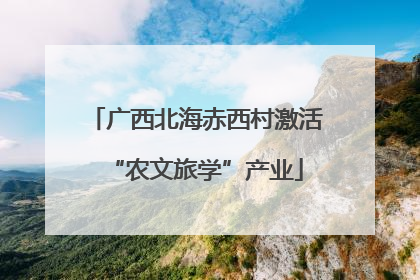 广西北海赤西村激活“农文旅学”产业