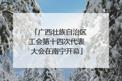 广西壮族自治区工会第十四次代表大会在南宁开幕
