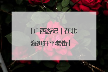 广西游记｜在北海逛升平老街