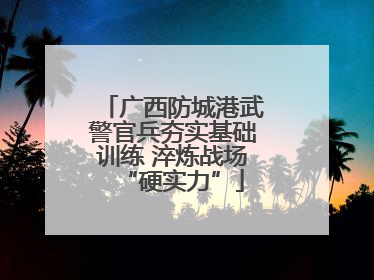 广西防城港武警官兵夯实基础训练 淬炼战场“硬实力”
