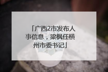 广西2市发布人事信息，梁枫任横州市委书记