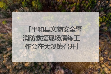平和县文物安全暨消防救援现场演练工作会在大溪镇召开