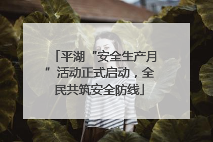 平湖“安全生产月”活动正式启动，全民共筑安全防线