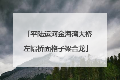 平陆运河金海湾大桥左幅桥面格子梁合龙