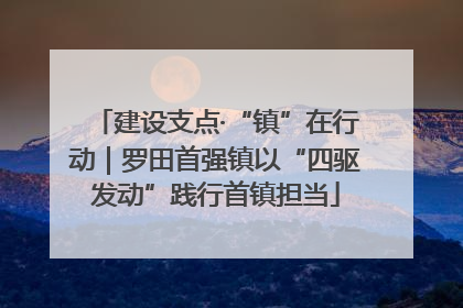 建设支点·“镇”在行动｜罗田首强镇以“四驱发动”践行首镇担当