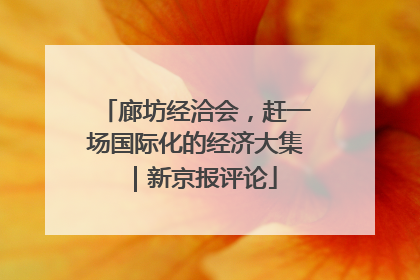 廊坊经洽会，赶一场国际化的经济大集｜新京报评论