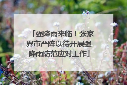 强降雨来临！张家界市严阵以待开展强降雨防范应对工作