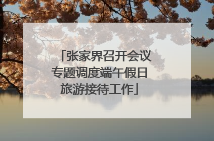 张家界召开会议专题调度端午假日旅游接待工作