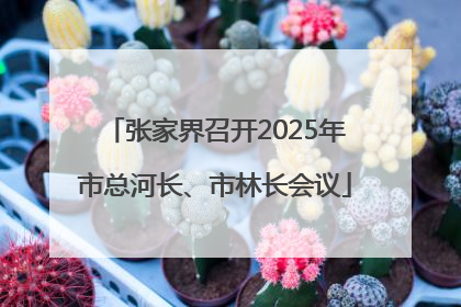 张家界召开2025年市总河长、市林长会议
