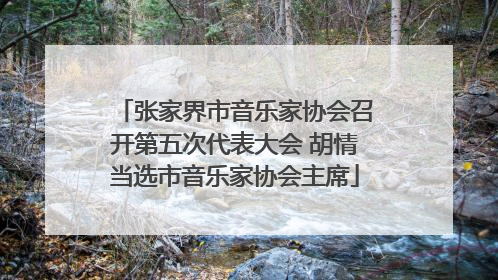 张家界市音乐家协会召开第五次代表大会 胡情当选市音乐家协会主席